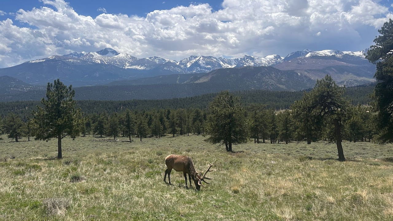 Where the Road Meets the Sky: Driving Trail Ridge Road