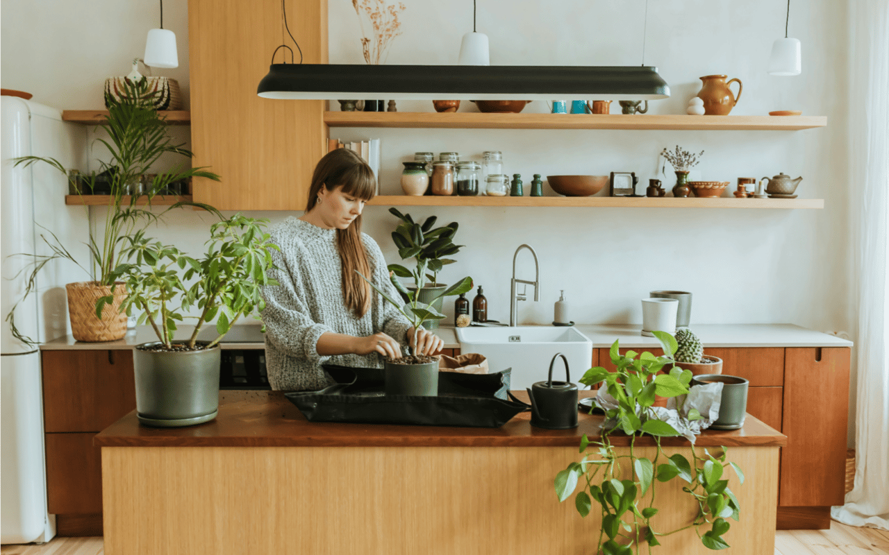 How to Improve the Air Quality of Your Home