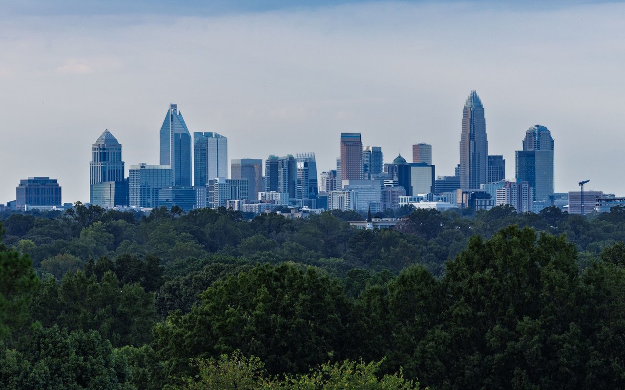 Charlotte skyline beyond a foreground of green trees.