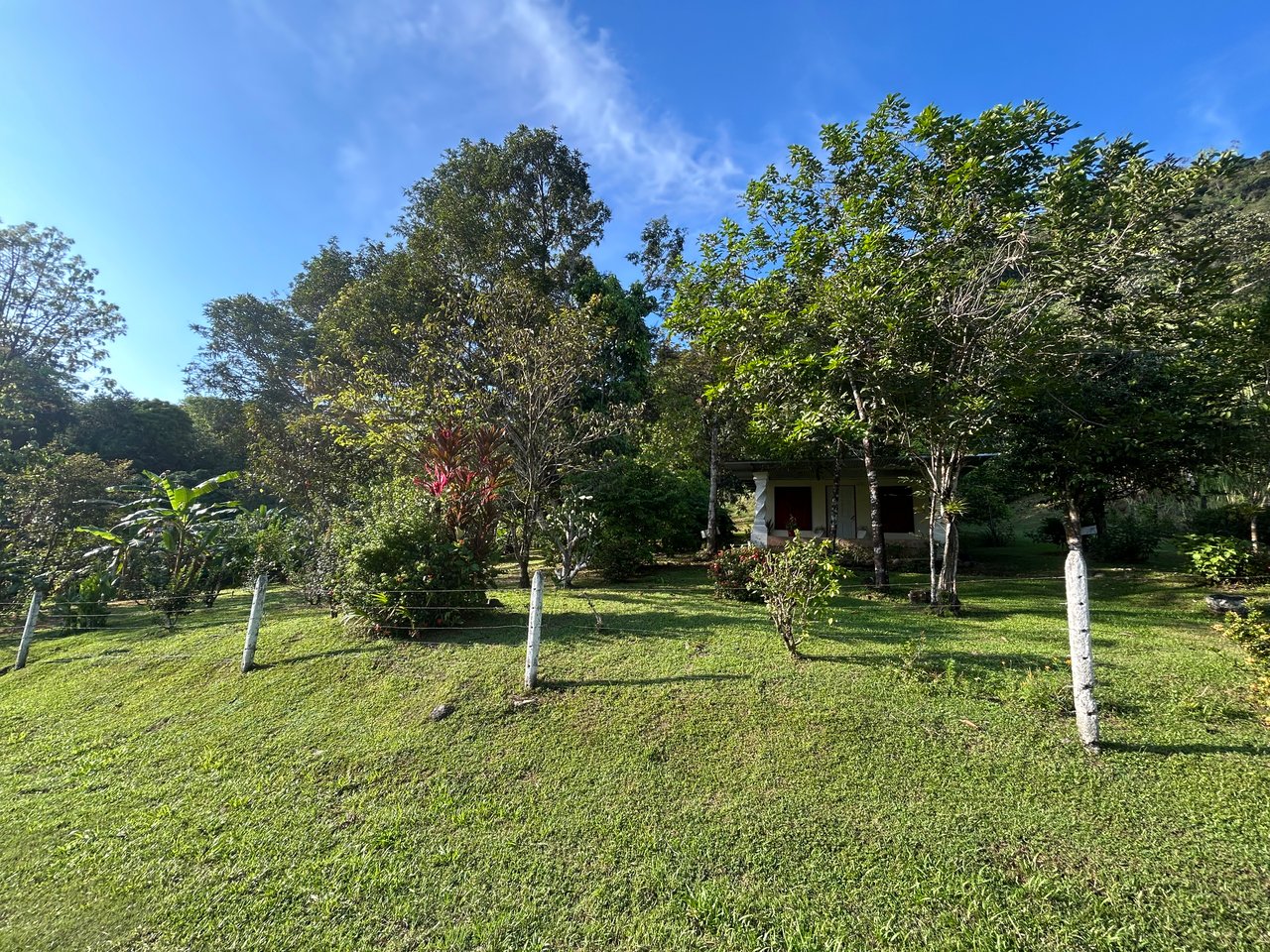Commercial & Residential Property in Punta Mala with Producing Fruit Trees