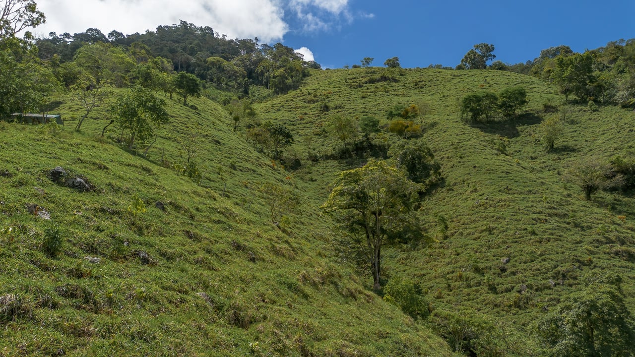  Off-Grid Paradise in Pueblo Nuevo, Rivas – Waterfall, Forest & Views