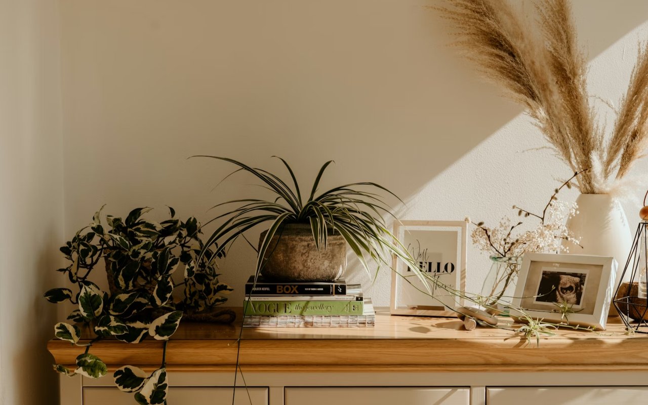 From Clutter to Chic: How to Stage Your Denver Home for a Standout Tour