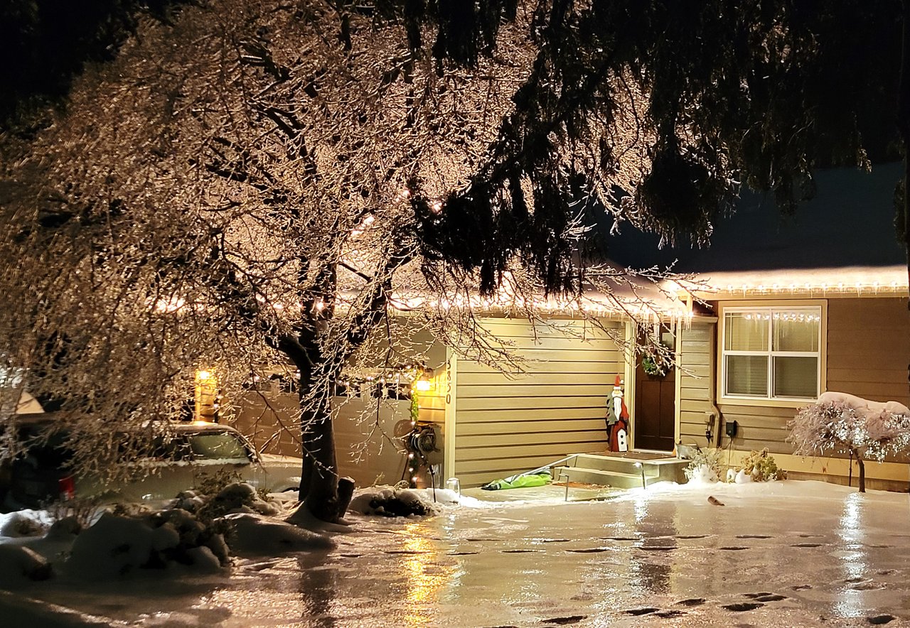 Snow-covered single-story house at night, partly obscured by a large illuminated tree.