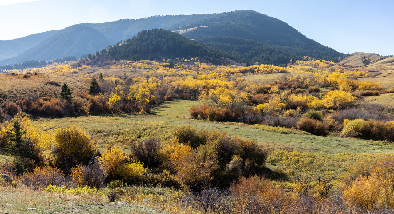 Box Elder Ranch