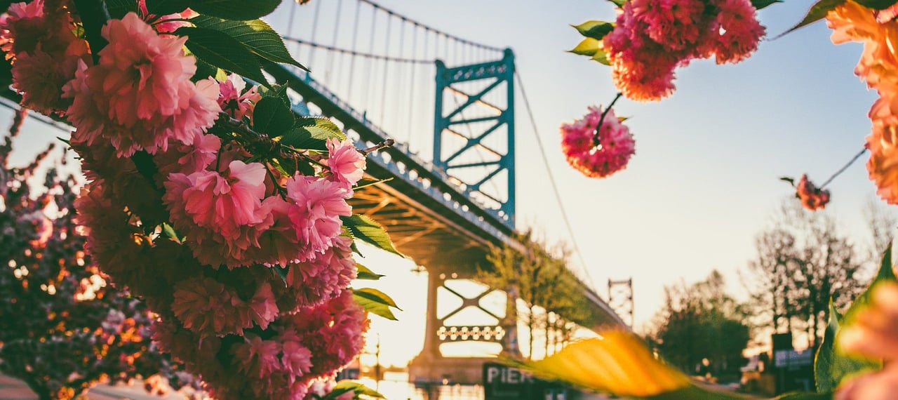 Fireworks, Front Porches, and Summer Nights: Why July Is One of Philadelphia’s Most Magical Months