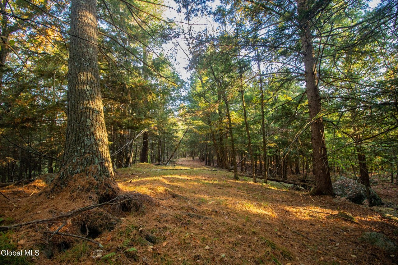 Extraordinary 127+ Acre Parcel in Adirondack Park