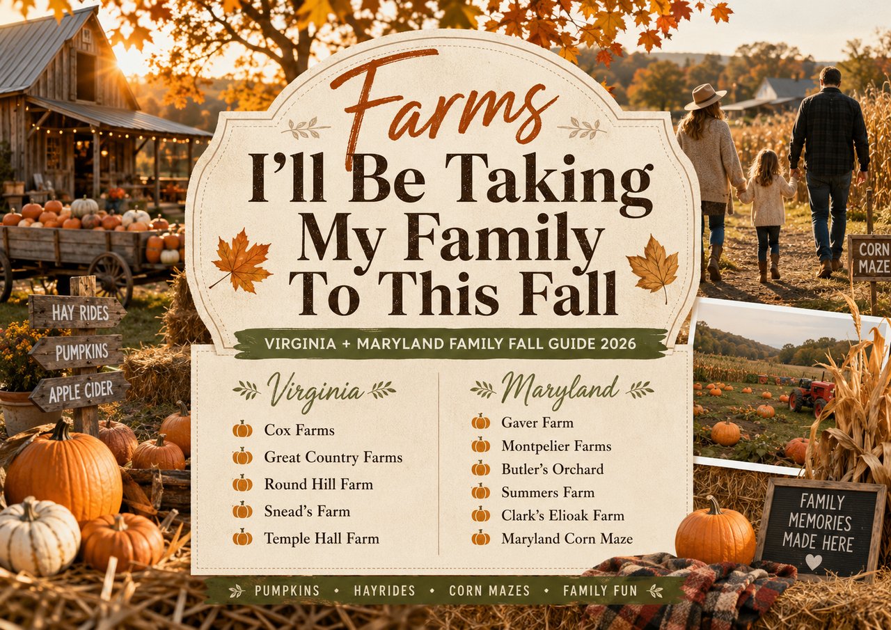 11 Best Fall Farms & Pumpkin Patches in Virginia and Maryland for Families | 2026