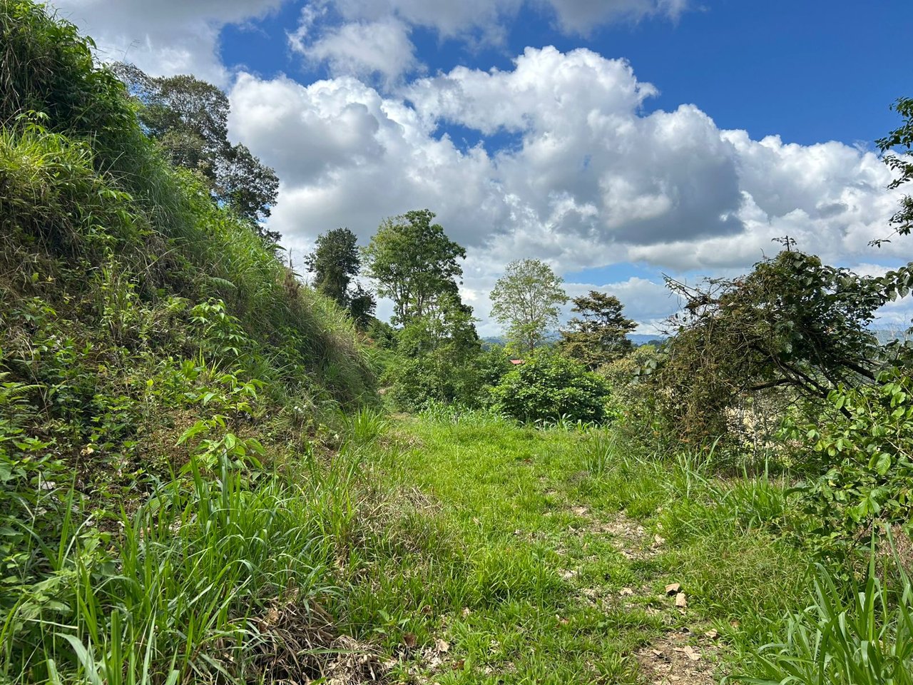 10-Acre Waterfall Farm with Amazing Valley and River View in San Isidro.