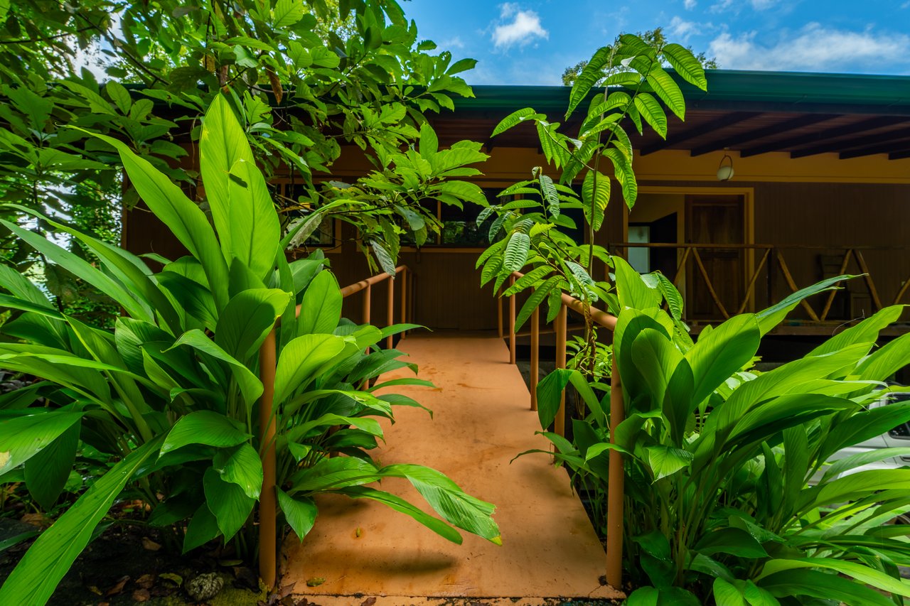 Where the Journey Begins | Private Jungle Estate at Nauyaca Waterfalls