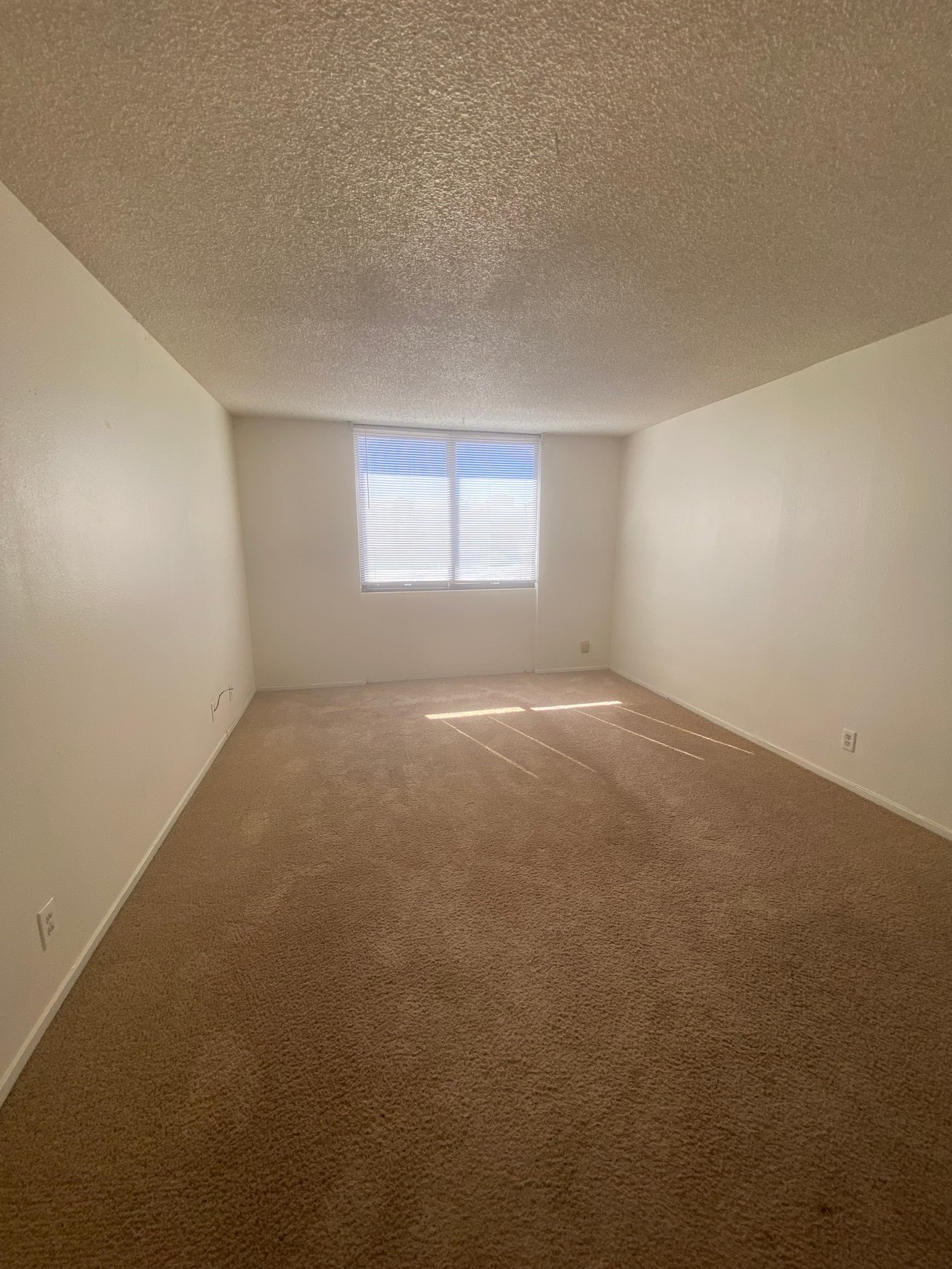 3930 University Center Drive #204