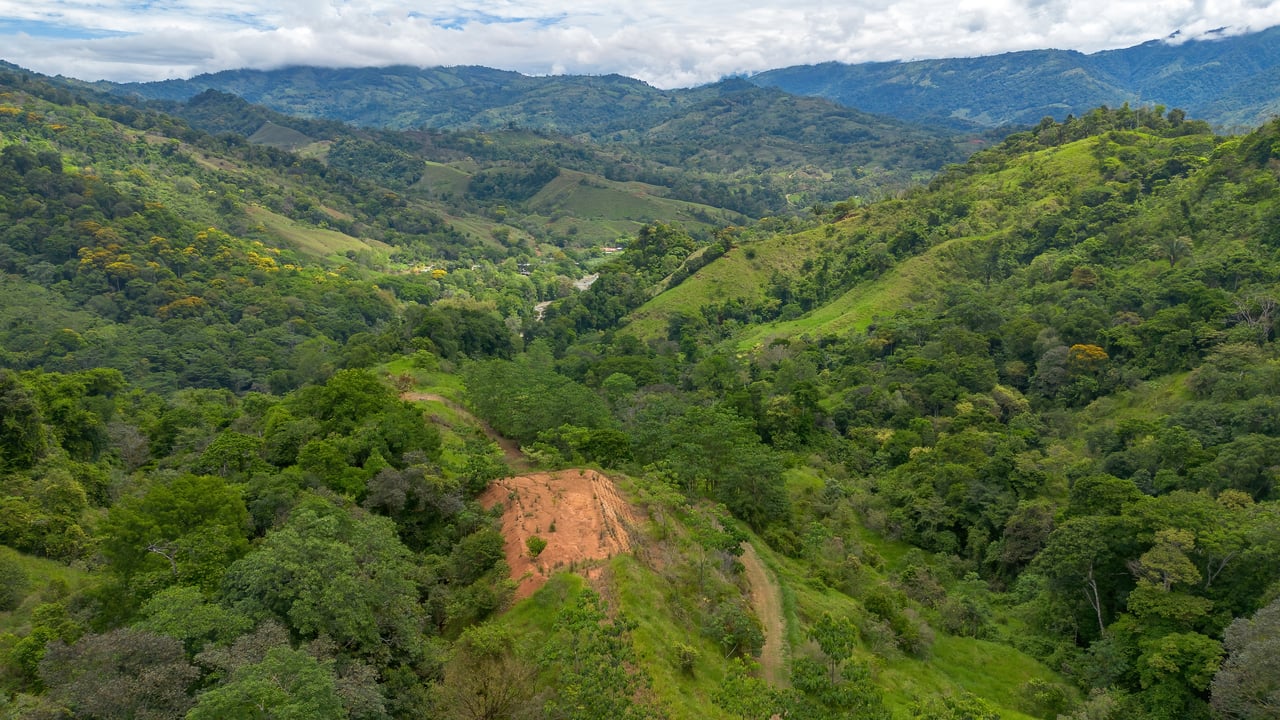 60 Hectares in Platanillo 