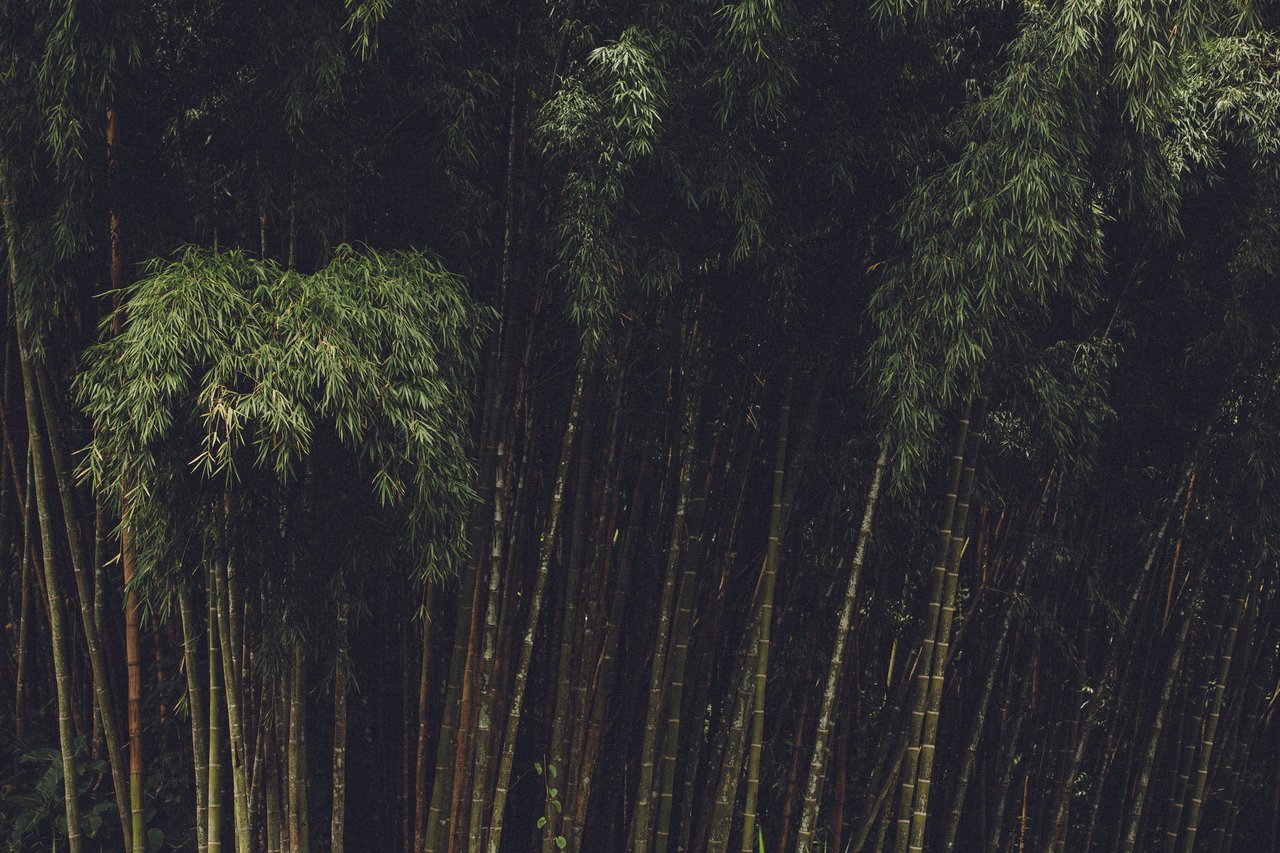  Punta Sabana & Mar Serena