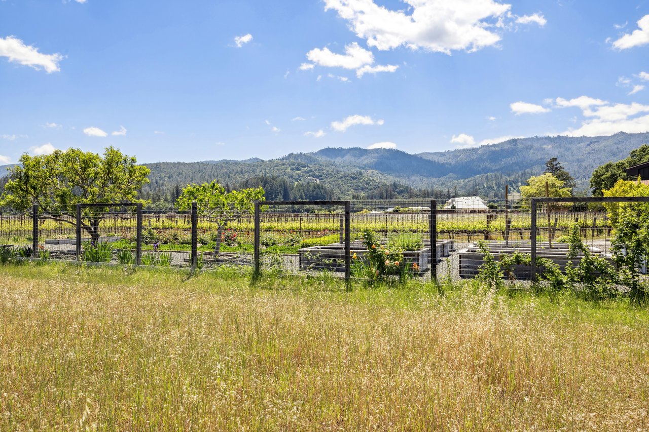 Vineyard View, St. Helena