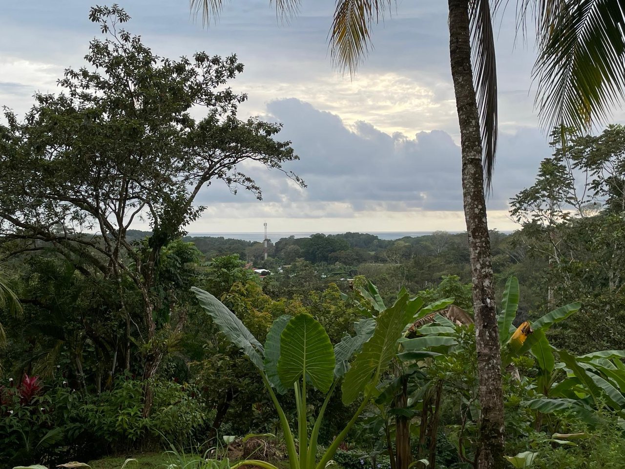 Ocean Peek Paradise Villa - 3 Bed - 1 Bath With a Pool in Hatillo