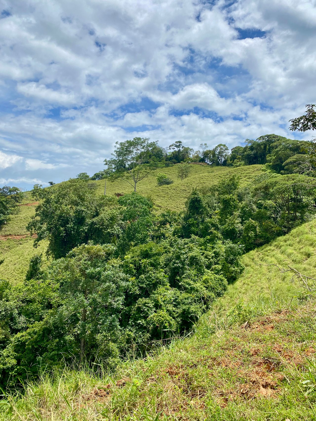 Spectacular 70 Acre Multiple Waterfall Property with Dramatic Views Near Ojochal