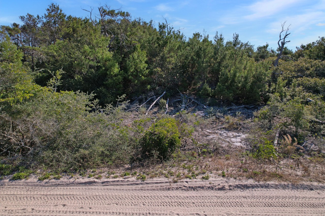 view of lot from street of 834 gulf shore drive, carrabelle, florida lot on dog island