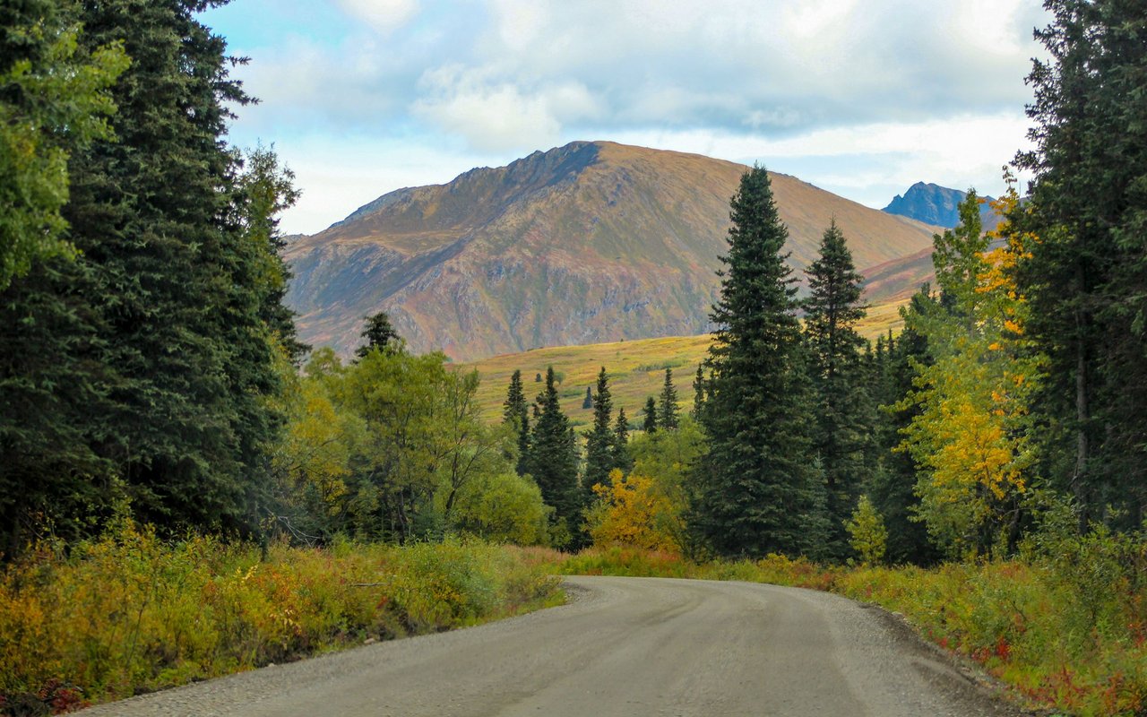 Gravel road winding through autumn forest toward a broad mountain.