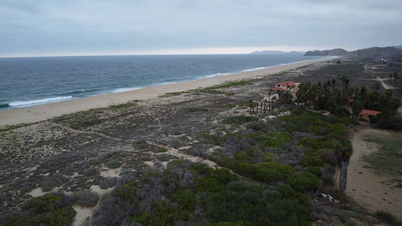 Ellias Calles Beachfront 2.2