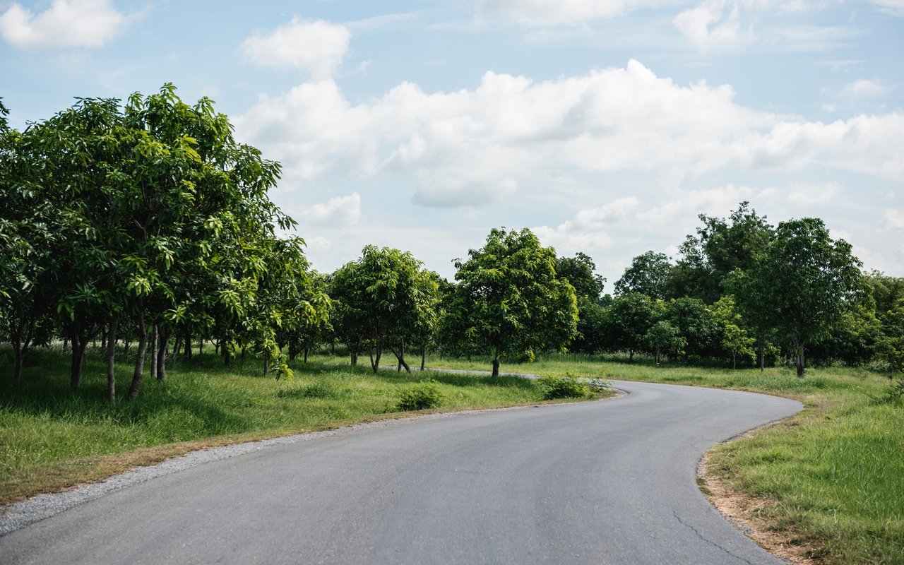 Saint George Rd | Crow Canyon Rd