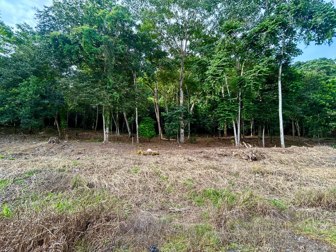 Tawal Lots for Sale – Prime Commercial & Residential Opportunity