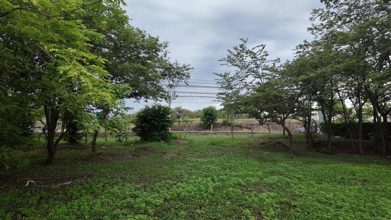 Prime Mixed-Use Development Land in Villarreal