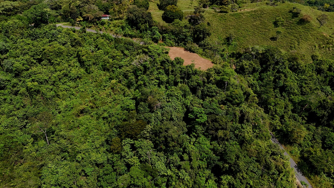  FIRE SALE! Two Adjacent Ocean-View Lots Sold Together – Chontales, Osa (10,487 m² + 9,844 m²)