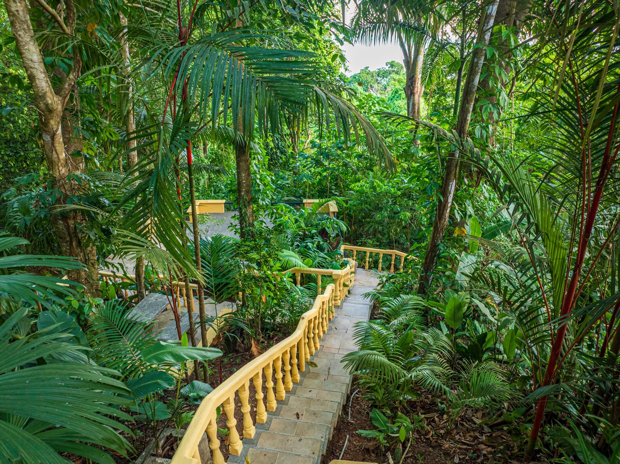 Nido Escondido, Playa Dominical