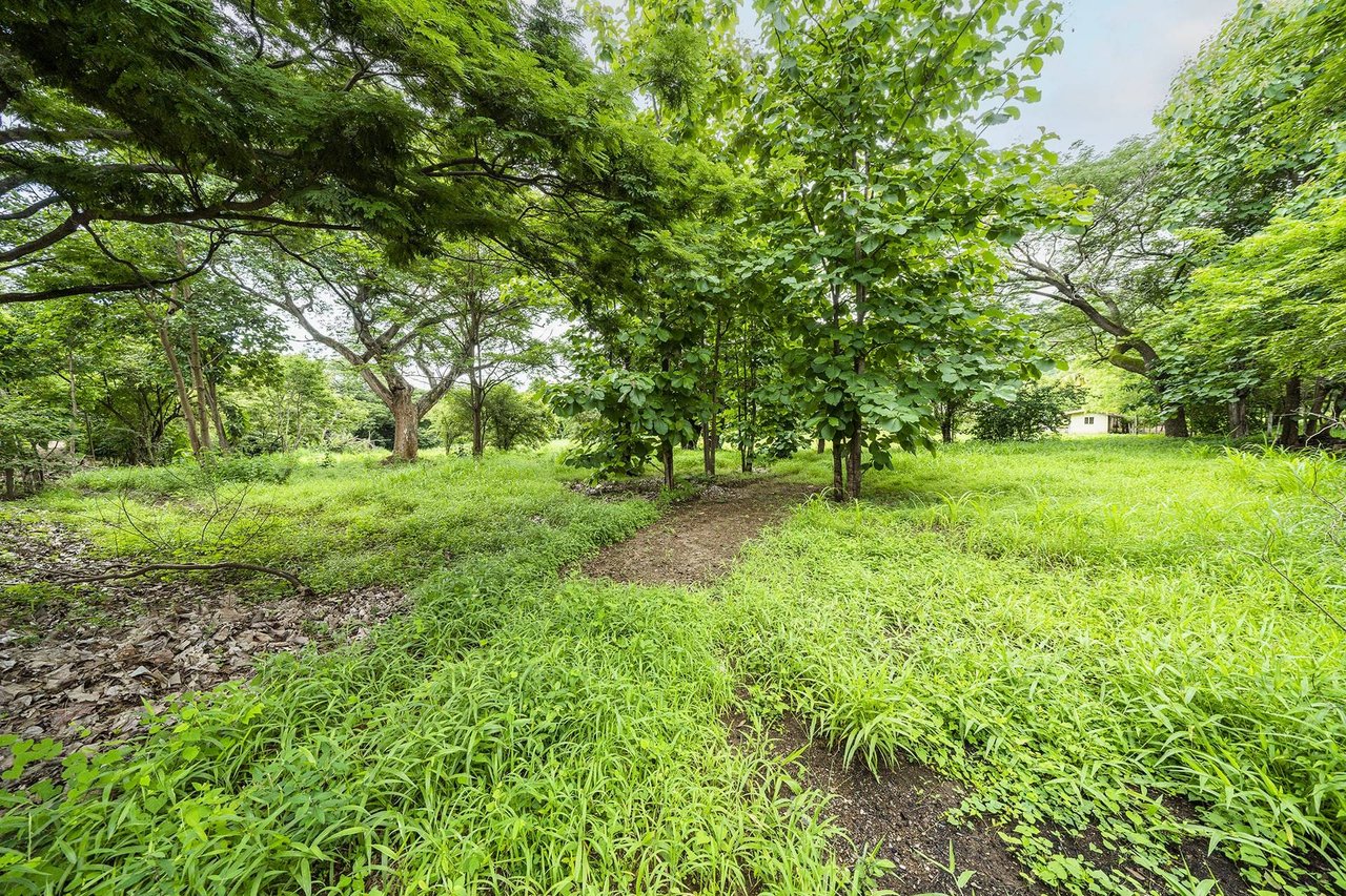 Flamingo 2.8 Hectare Parcel Playa Flamingo