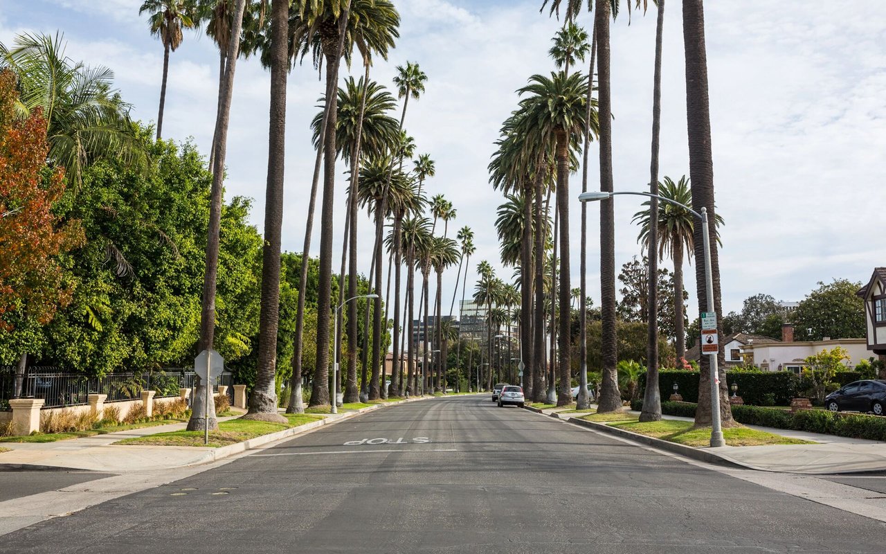 Palm-lined residential street with homes, sidewalks, and cars parked along the curb.