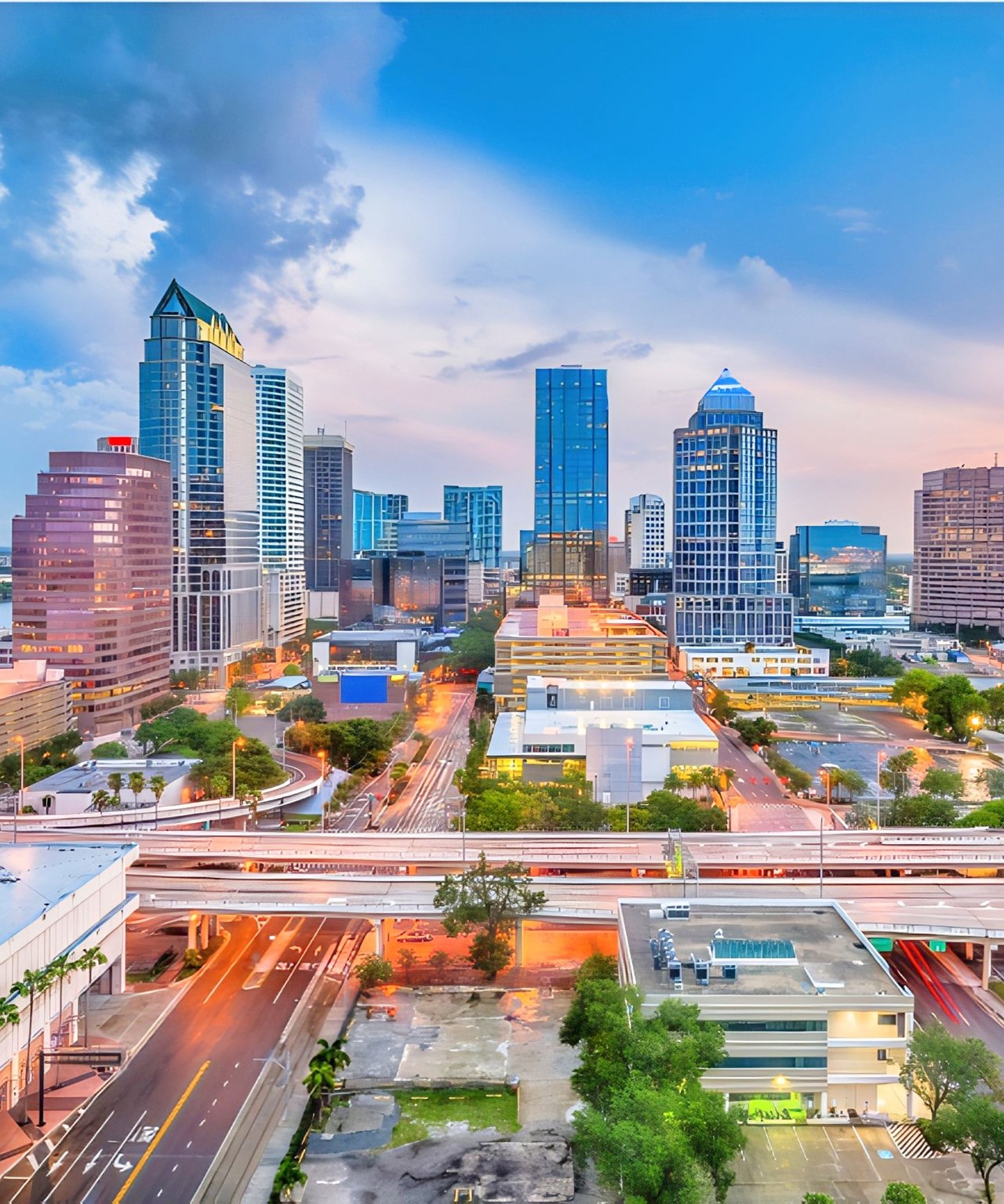 The Tampa Relocation Guide