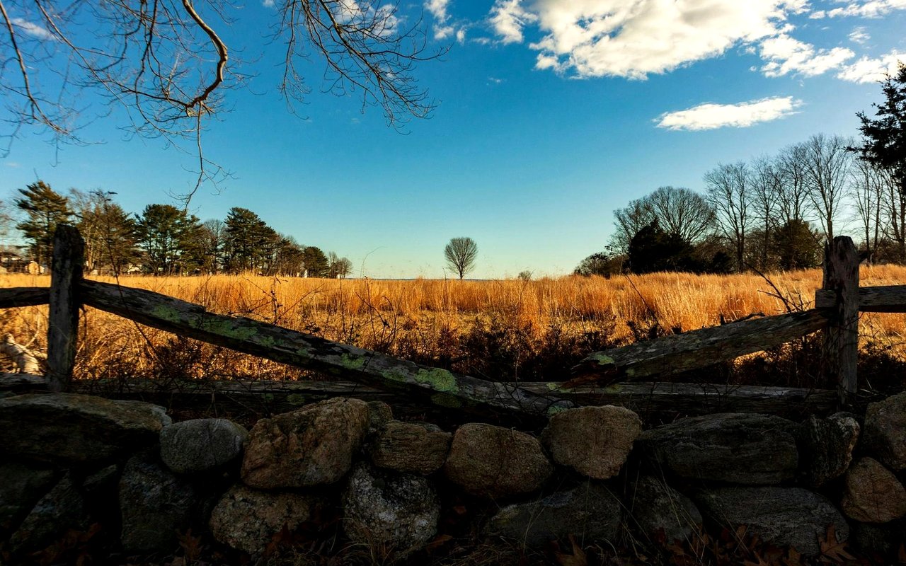 Moving to Old Lyme from New York: A Relocation Guide