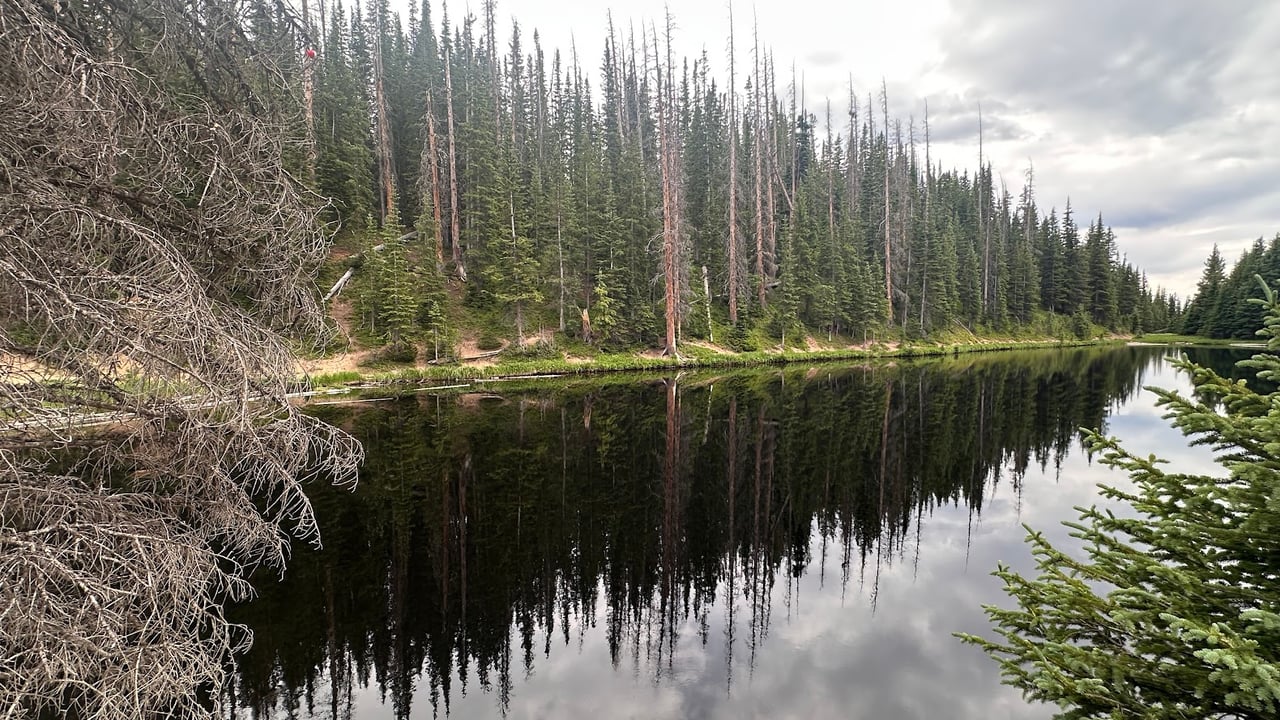 Where the Road Meets the Sky: Driving Trail Ridge Road