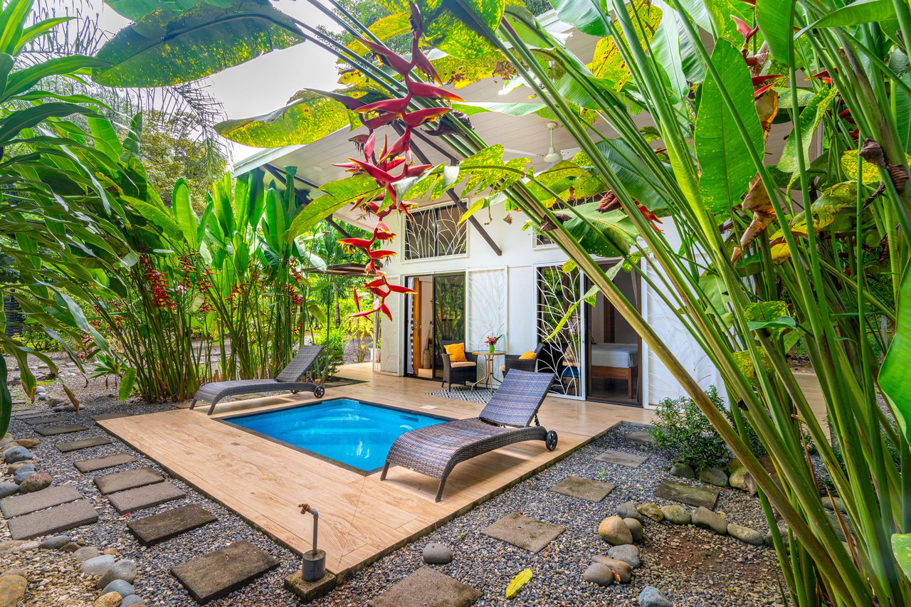 Tropical Modern Casita on ½ Acre / Saltwater Pool / Expansion Potential