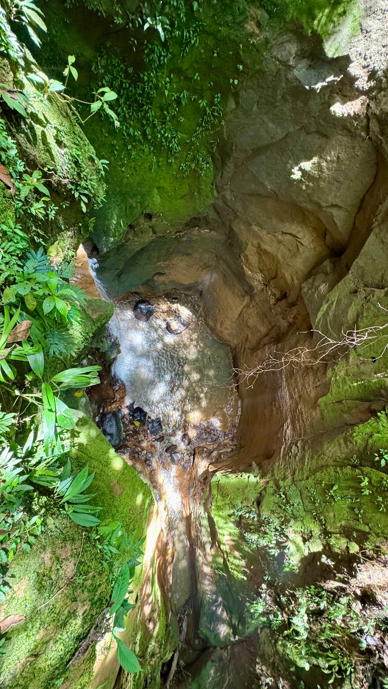 Spring, Waterfalls and more!  Farm in San Vito Limoncito!