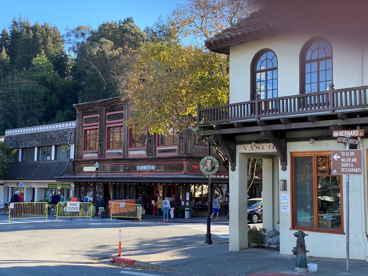 Downtown Mill Valley