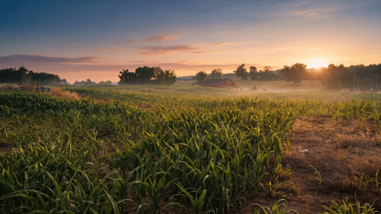 Prime Land FOR SALE off Dry Run Road in Martinsburg, WV - Listed by Jamie Lopez, The Lopez Team
