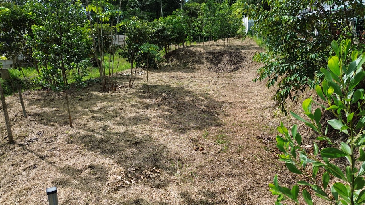 Affordable Uvita Lot UNDER $200-per-sqm - Perfect for Your Dream Home or Airbnb Investment