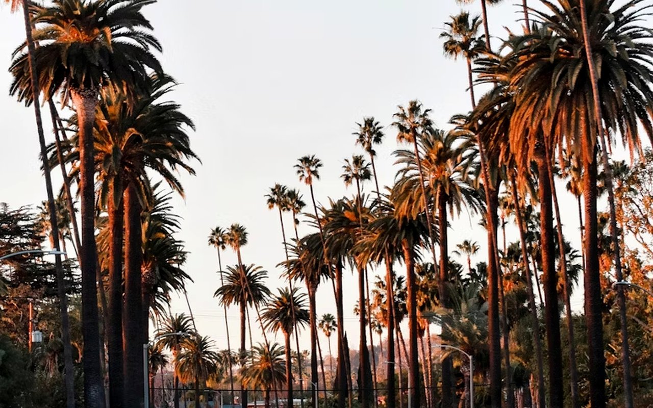 Top 5 Beverly Hills Streets With Celebrity Appeal