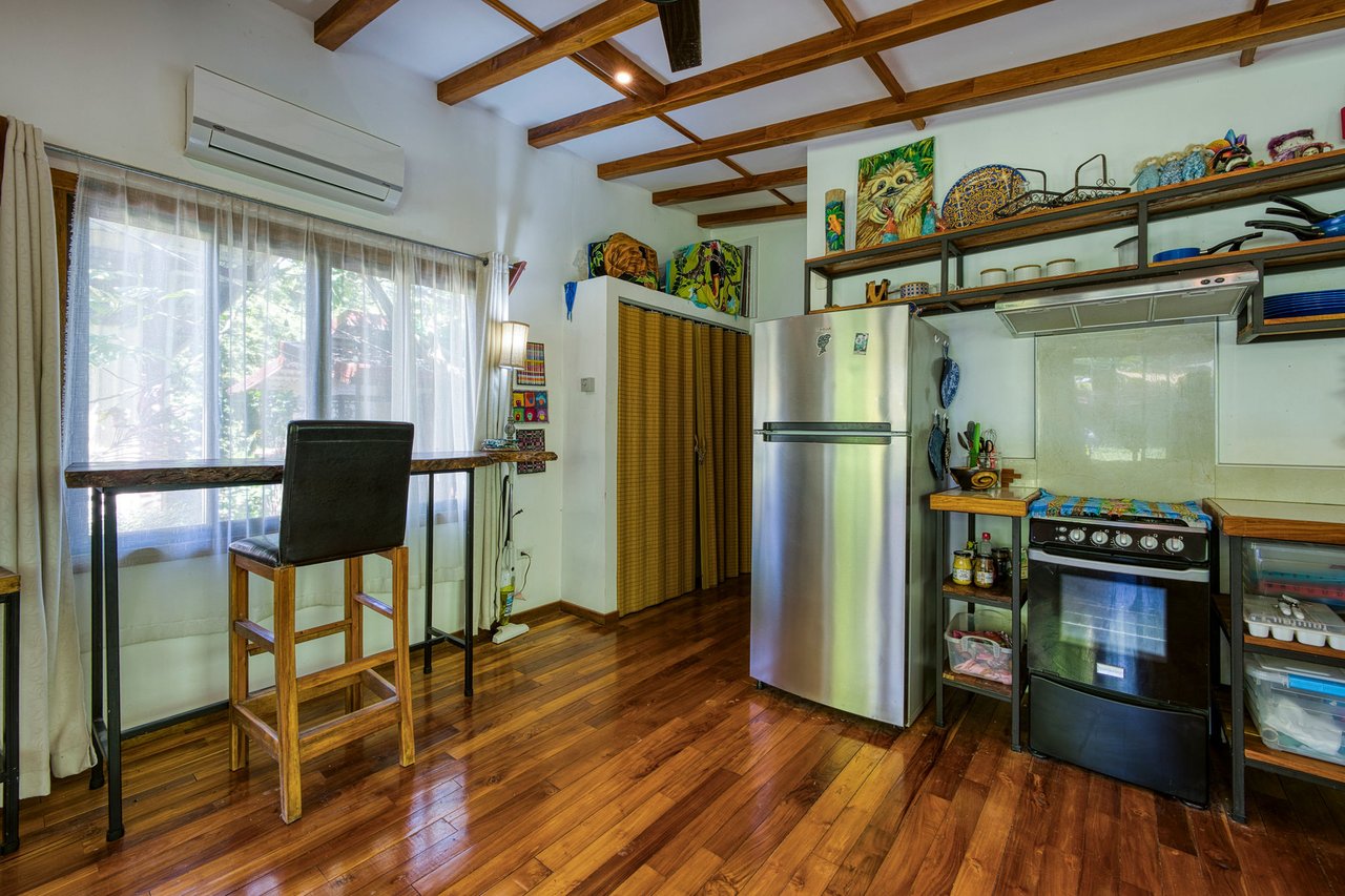 DOMINICAL HOTEL OR RETREAT WITH 11 RENTALS PLUS OWNER’S HOME