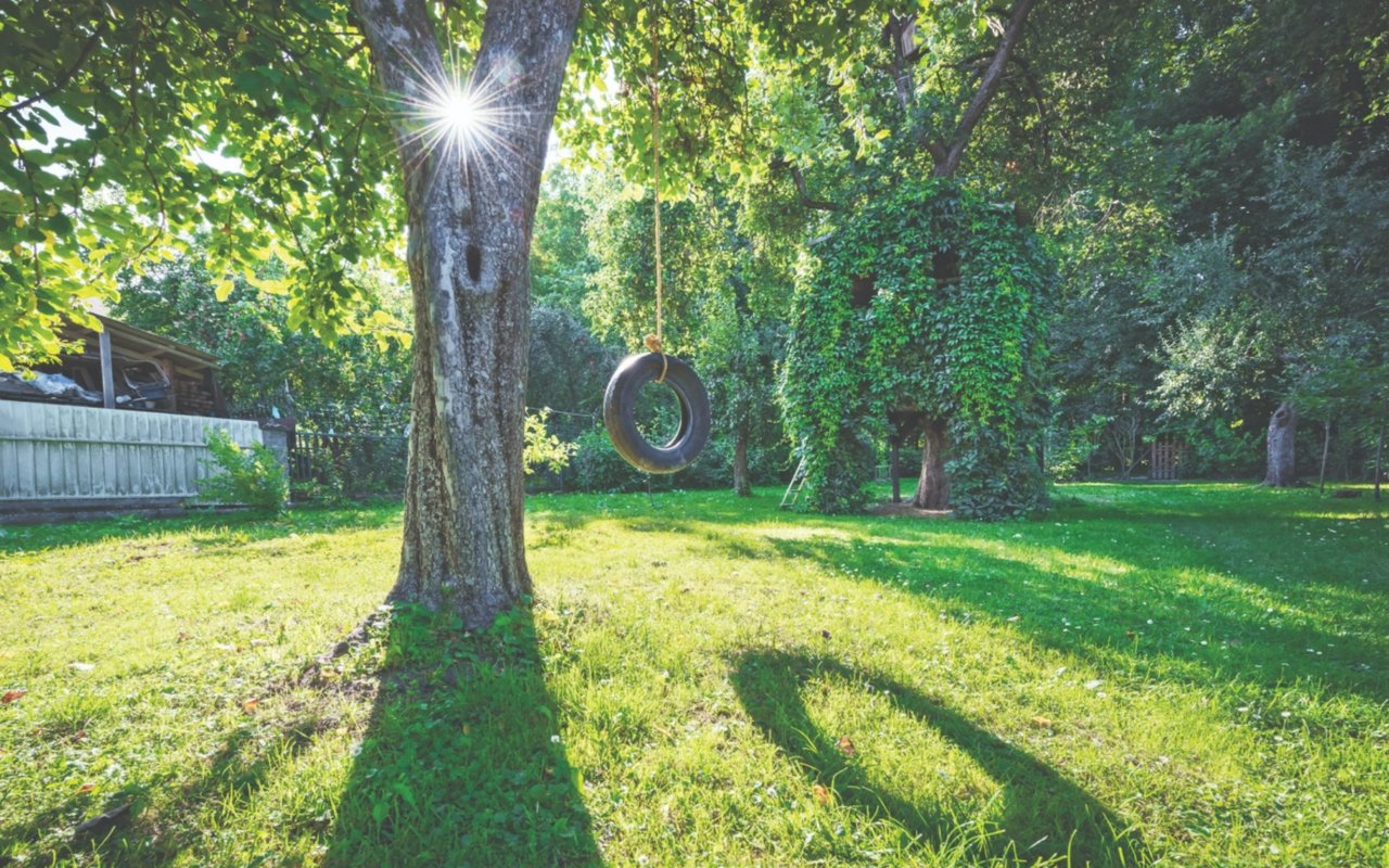 Legal Matters: The Law of Nuisance