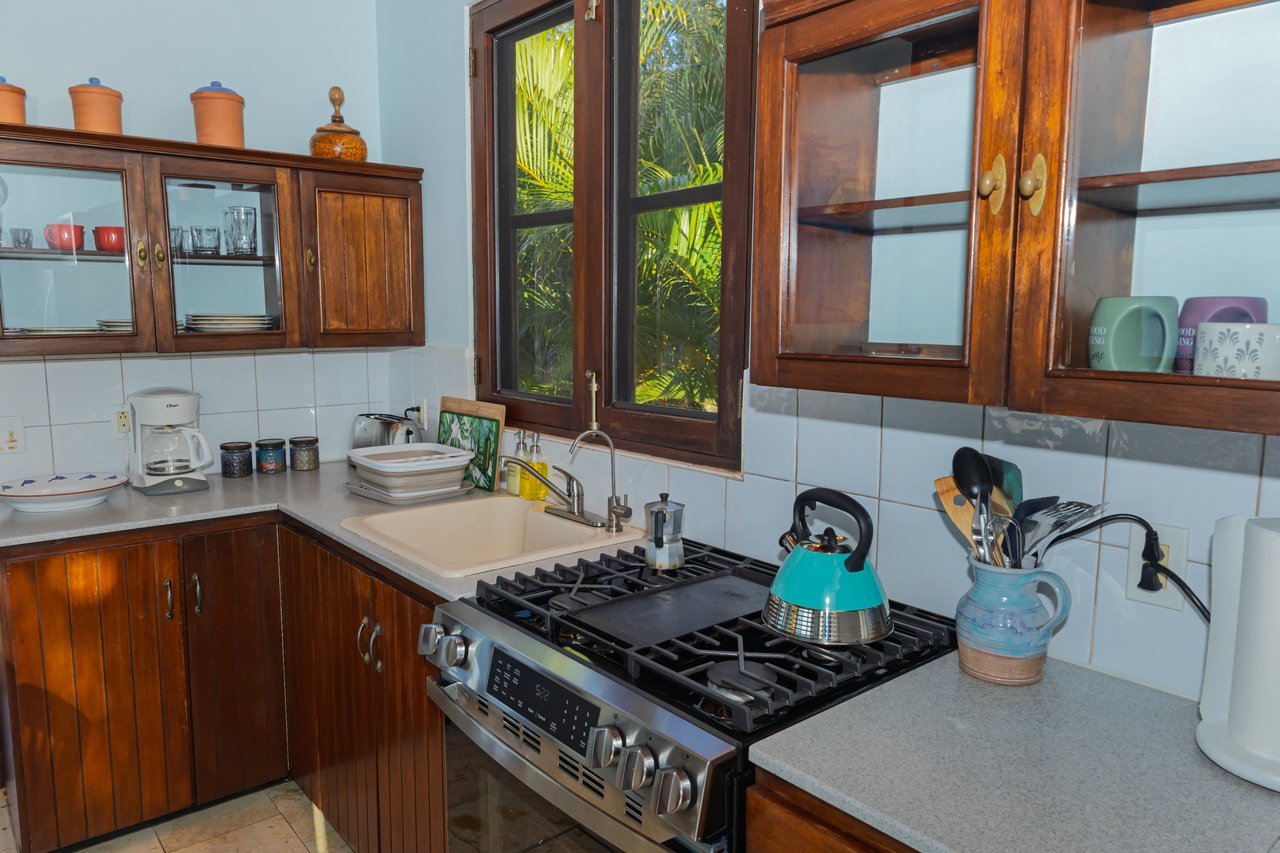 1105 Villa Botanica