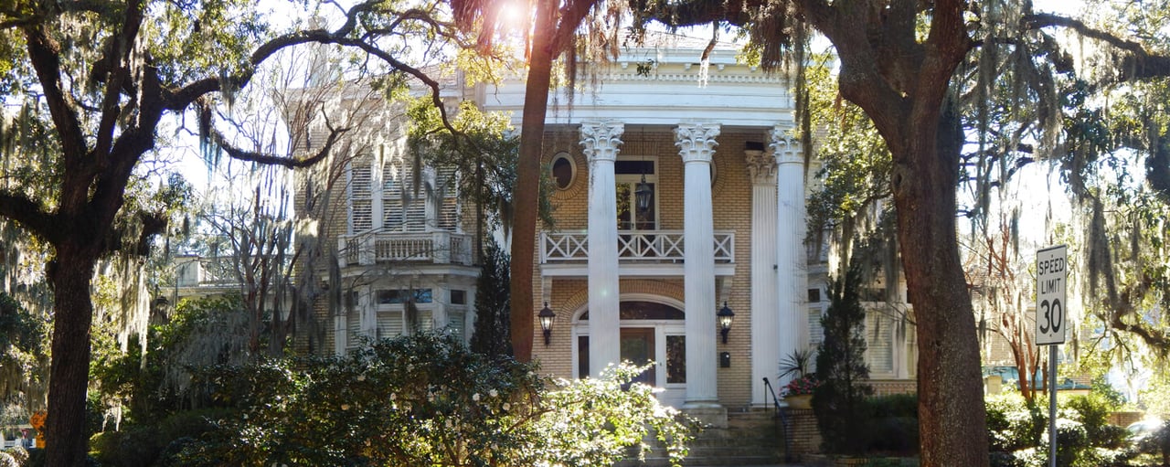 The Ardsley Park Insider: Savannah’s Most Iconic Neighborhood Guide