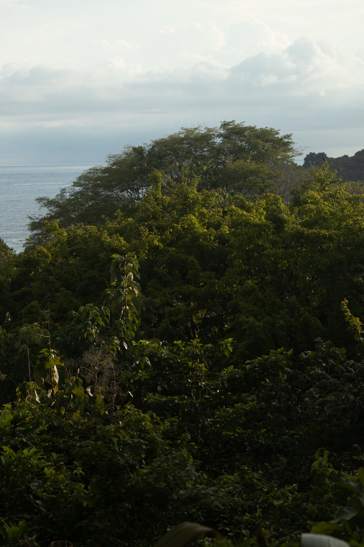 Casa Amigos