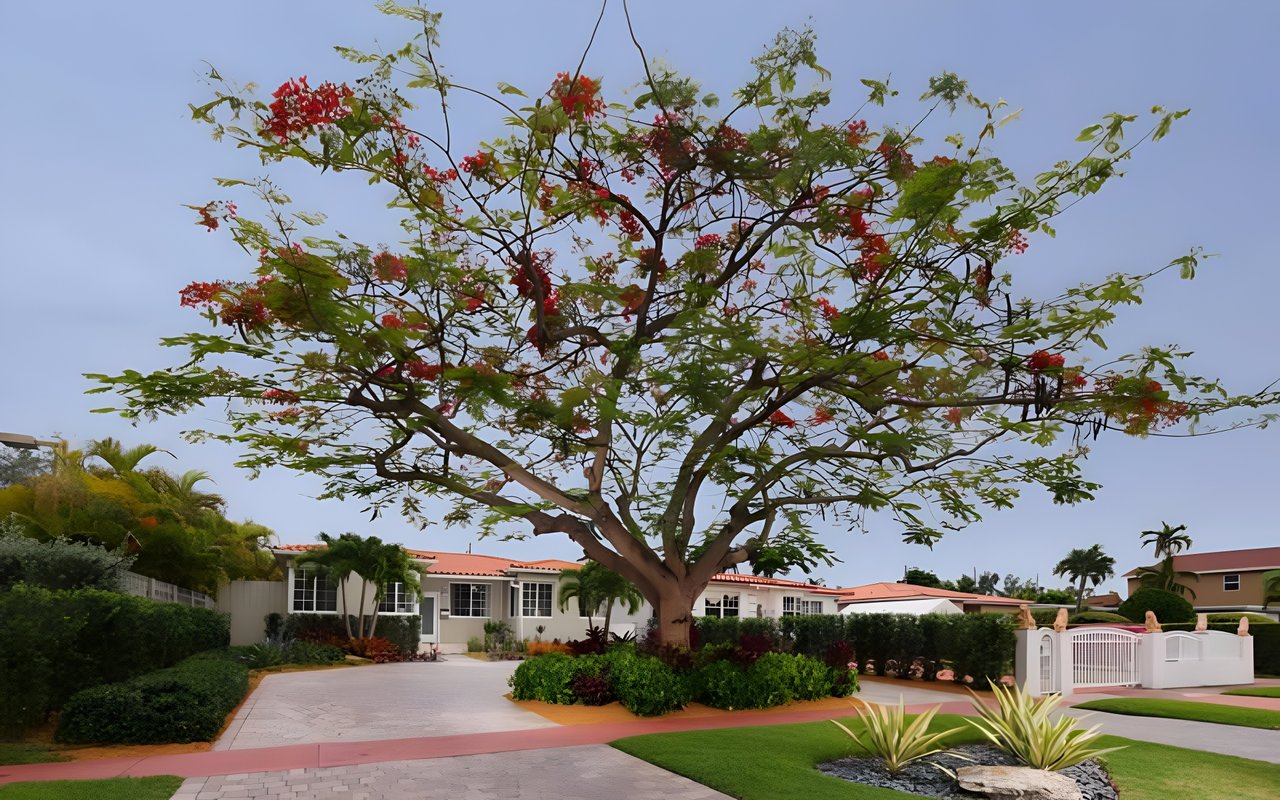 Scott Klein Finds Perfect Buyer for Perfect South Beach Home for $1.069 Million