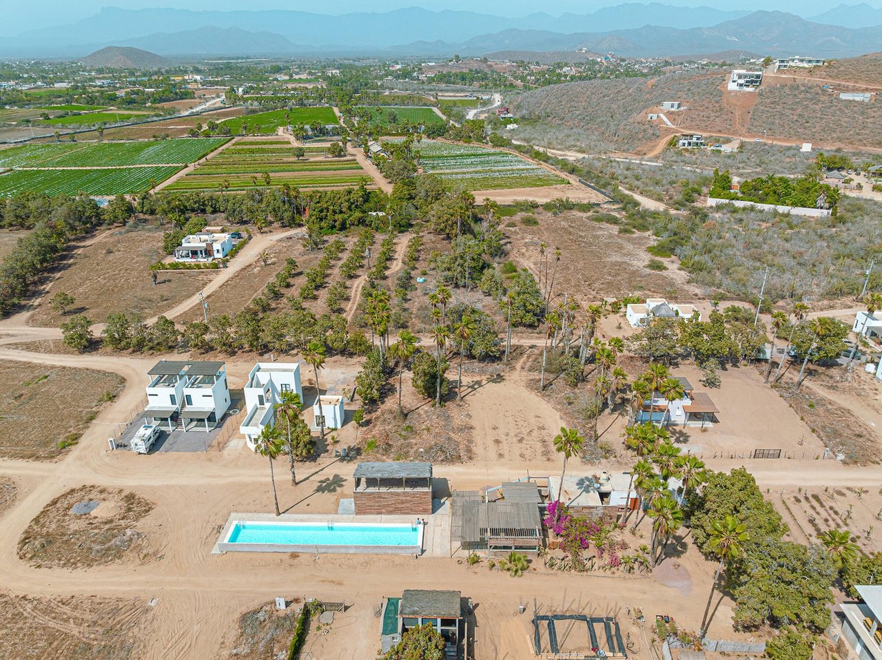 Huerta Hermosa Crudo Lot 702