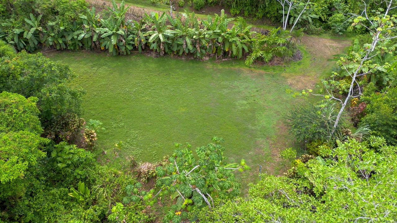 Waterfall Retreat with Casita & Build-Ready Lot in Cascada Azul, Baru