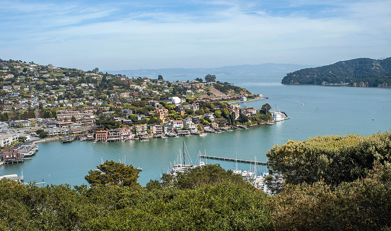 Marin Community and Real Estate Market Report - 1/6/20