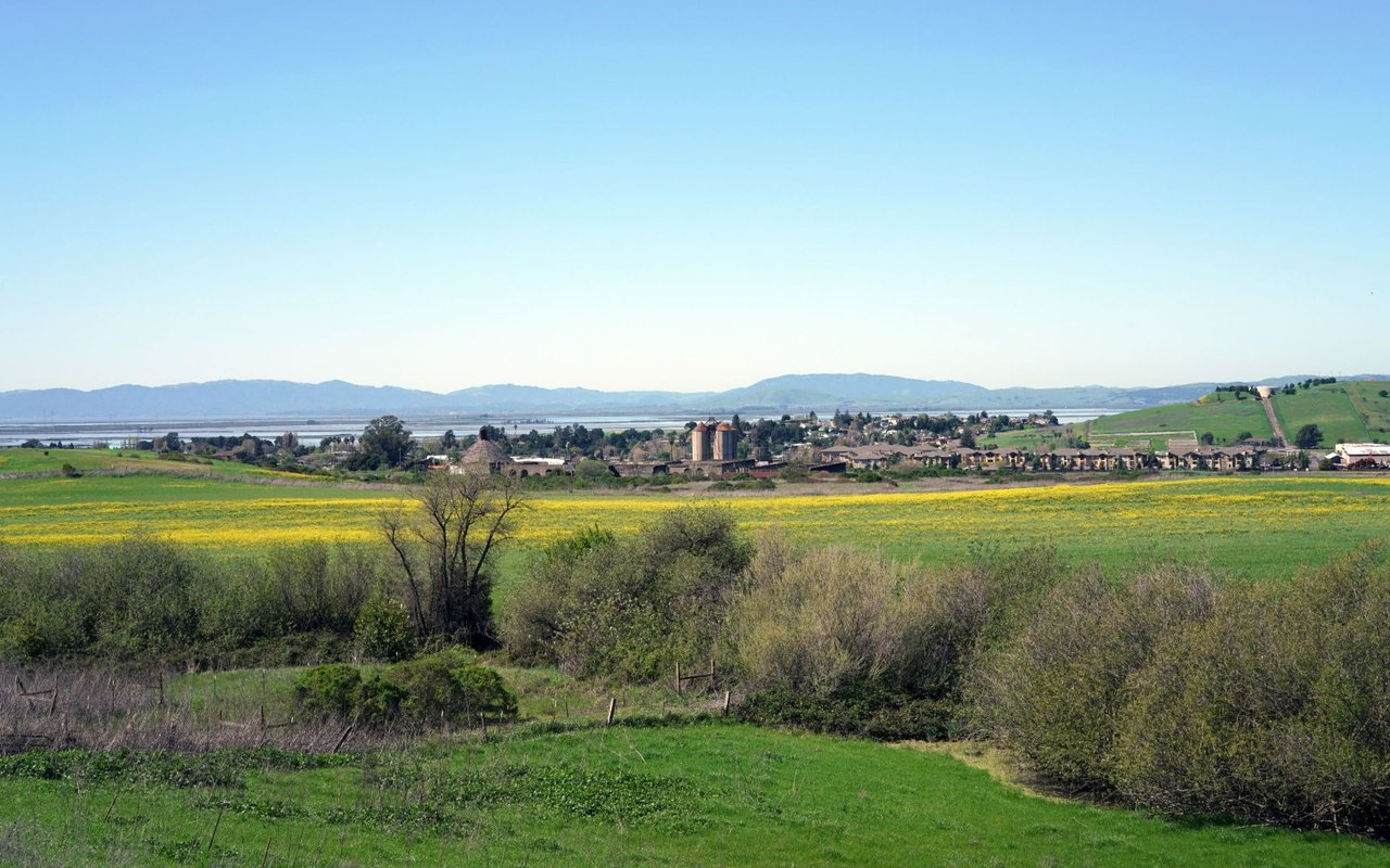 American Canyon