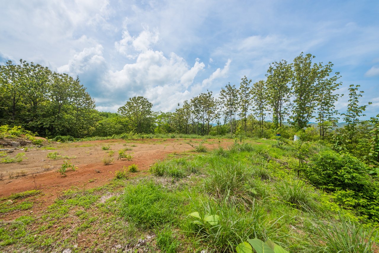 Lot 81, Rancho Villareal