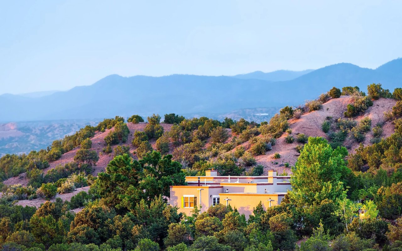 Silverleaf